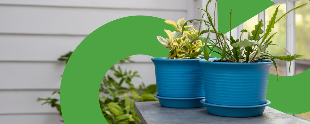 TC Made set of 2 round plant pots